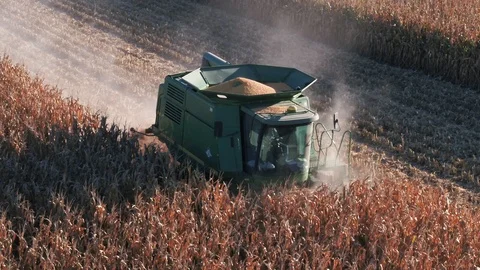 Corn Harvest Front 2 Stock Footage 98721524