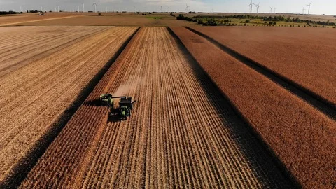 Corn Harvest Front Pull Away Stock Footage 98721982