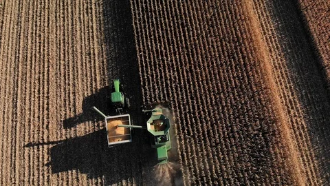 Corn Harvest High 2 Stock Footage 98722385