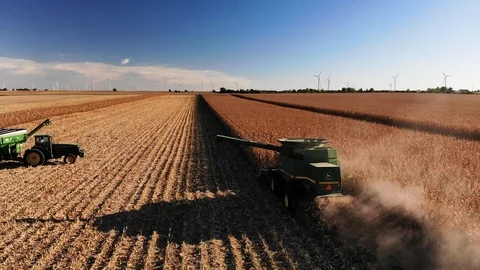 Corn Harvest into Hopper 1 Stock Footage 98722584