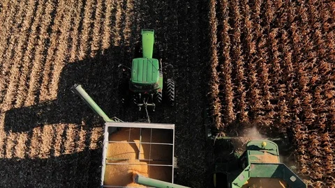Corn Harvest into Hopper 2 Stock Footage