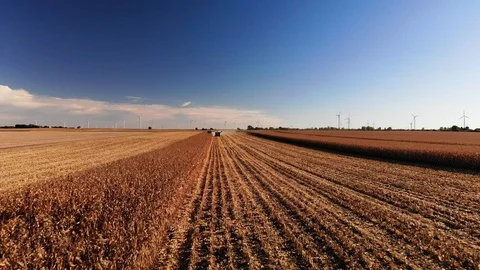 Corn Harvest Into Hopper Front Flare Stock Footage