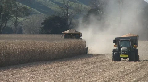 Corn harvest long shot trailor and combine Stock Footage 7748122