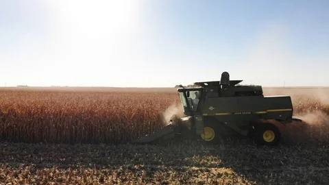 Corn Harvest Side 2 Stock Footage 98722329