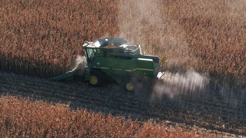 Corn Harvest Side Drive Through 1 Stock Footage 98721883