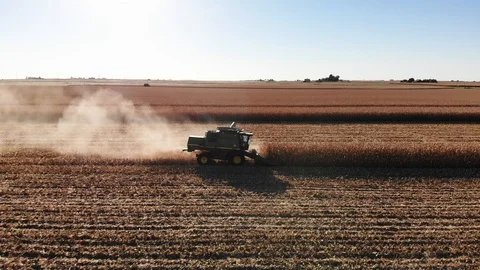 Corn Harvest Side1 Stock Footage 98722432