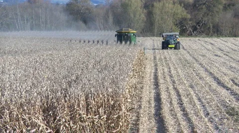 Corn harvest time lapse Stock Footage 5147513