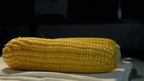 Corn harvest.Close-up of two peeled corncobs lying on a table on a white towel Stock Footage 195956473