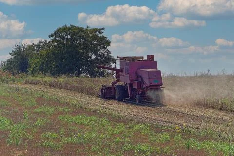 Corn harvester crops Stock Photos