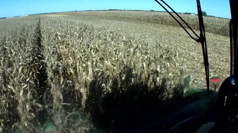 Corn harvester driver in cab of combine, 4K. Stock Footage 68824536