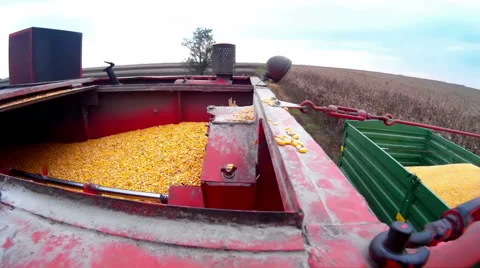 Corn Harvester Stock-Footage 45588841