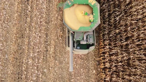Corn harvester Stock Footage 165782040