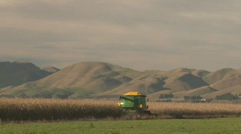 Corn harvester long shot Stock Footage 739920