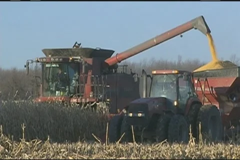 Corn harvester unloading 스톡 동영상 1008260