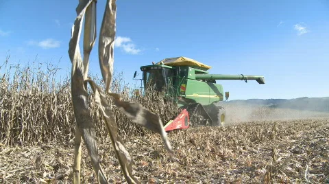 Corn harvester at work Stock Footage 761954