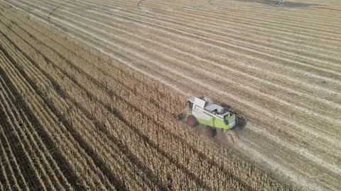 A corn harvester working in a field in clear weather shot from the air Stock Footage 217495890