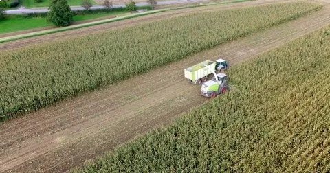 Corn harvesting from above top down aerial shot Stock Footage 81880383