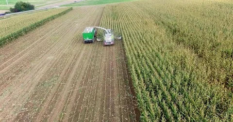 Corn harvesting from above top down aerial shot Stock Footage 81882513
