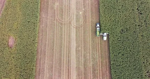 Corn harvesting from above top down aerial shot Stock Footage 81884601