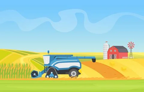 Corn harvesting combine machine working in agricultural field, cropping cereal Ilustración de archivo