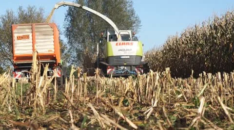 Corn harvesting, different points of view Stock Footage 8840109