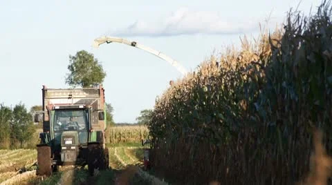 Corn harvesting in Germany Stock Footage 8840064