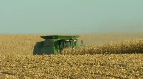 Corn harvesting-hill-1 Stock-Footage 10826328