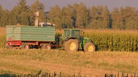 Corn harvesting machines working in the corn field, Slovenia Stock Footage 163365540