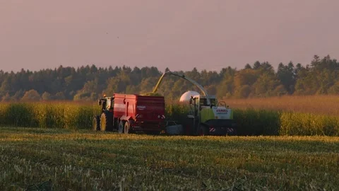 Corn harvesting machines working in the farming field, Slovenia Stock Footage 163758157