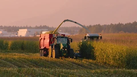 Corn harvesting machines working in the farming field, Slovenia Stock Footage 163759280