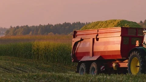 Corn harvesting machines working in the farming field, Slovenia Stock Footage 163761930