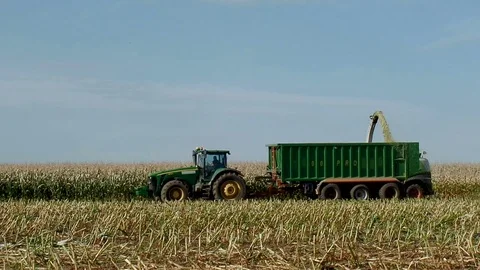 Corn harvesting with a tractor on the field Stock Footage 80959345