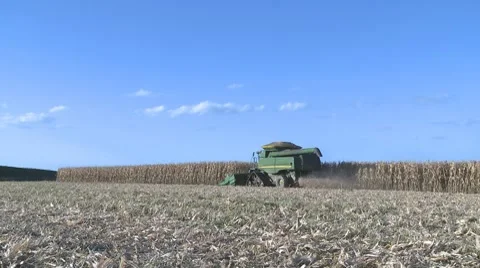Corn harvesting under a clear blue sky Stock Footage 7748452