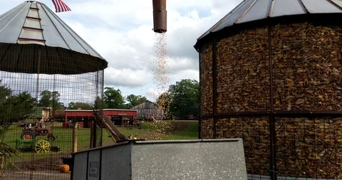 Corn Husker Shredder Stock Footage 97981356