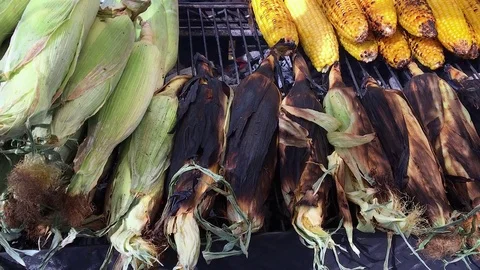 Corn Husks Smoked Over Large Charcoal Grill Stock Footage 76127097