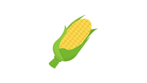 Corn icon animation for motion graphics. Foods and Drinks Icons Stock Footage 147743270