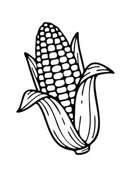 Corn icon doodle hand drawn. Outline line drawing clipart symbol. Vector il.. Stock Illustration