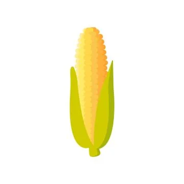 Corn icon. maize isolated on white background. Vector illustration. Stock Illustration