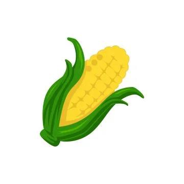 Corn icon. Vector illustration of corn isolated on white background Stock Illustration