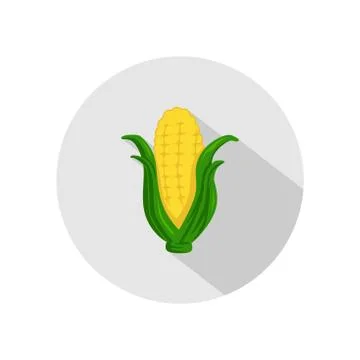 Corn icon vector. illustration of corn isolated on grey circle. healthy veget Stock Illustration