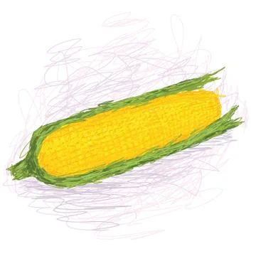 Corn Stock Illustration