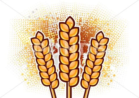 Corn Stock Illustration