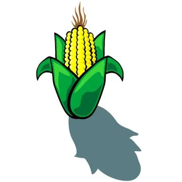 Corn Illustrazione stock