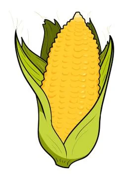 Corn Stock Illustration