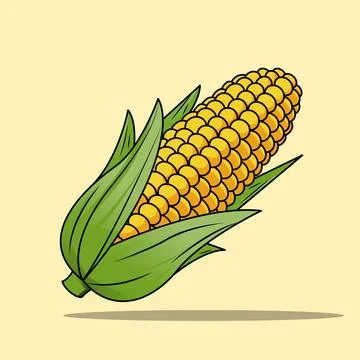 Corn Stock Illustration