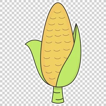 Corn Stock Illustration