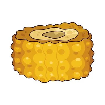 Corn illustration 스톡 일러스트