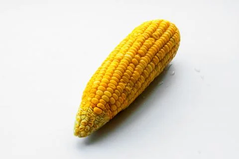 Corn on isolate Stock Photos