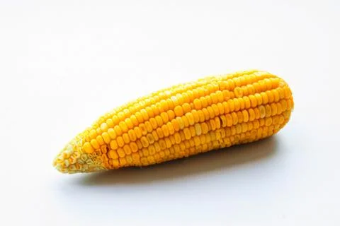 Corn on isolate Фото