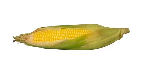 Corn isolate on white background Stock Photos